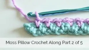moss pillow crochet along